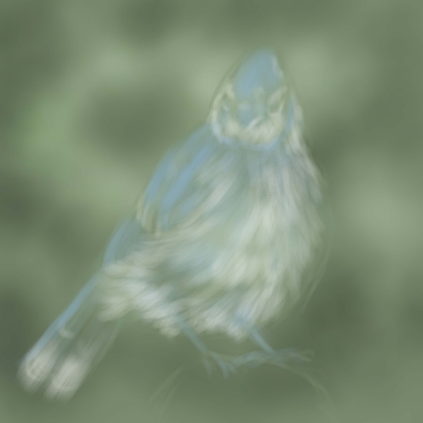 Creation of Little blue bird: Step 3